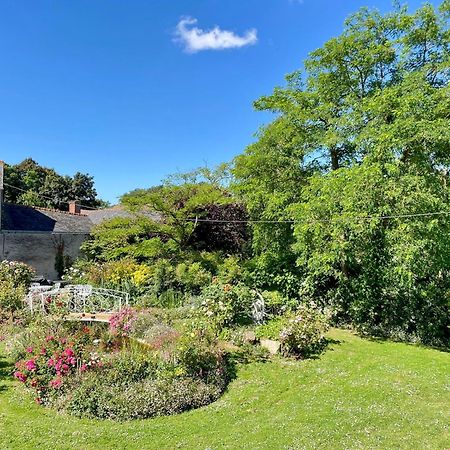 Chambre De Charme Dans Un Jardin De 1500M2 Nueil-sur-Layon Exterior photo